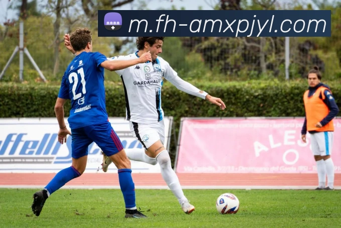 澳门新葡京娱乐平台生态图