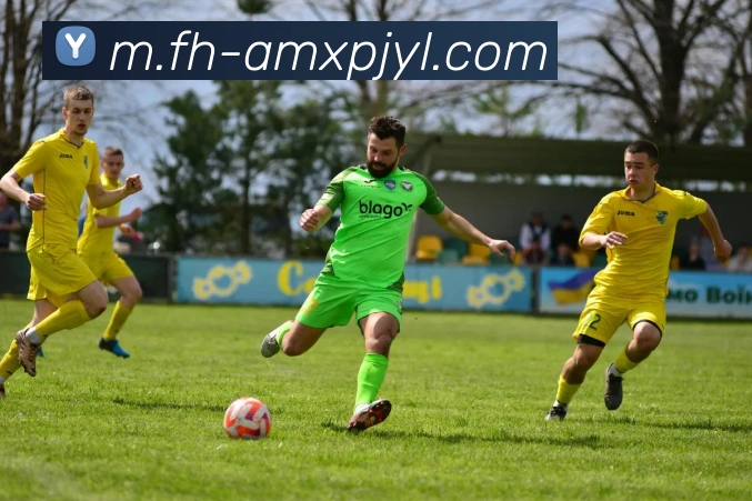 澳门新葡京娱乐全站App 澳门新葡京娱乐全站App